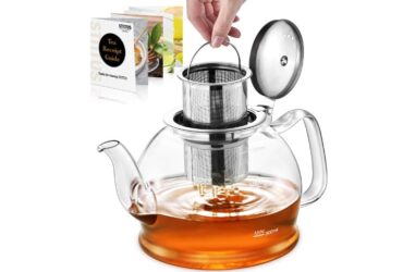 the best glass teapot with infuser