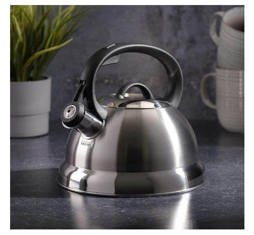 stainless steel tea pot 1