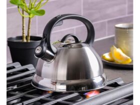 stainless steel tea pot