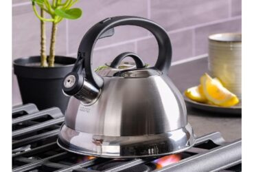 stainless steel tea pot