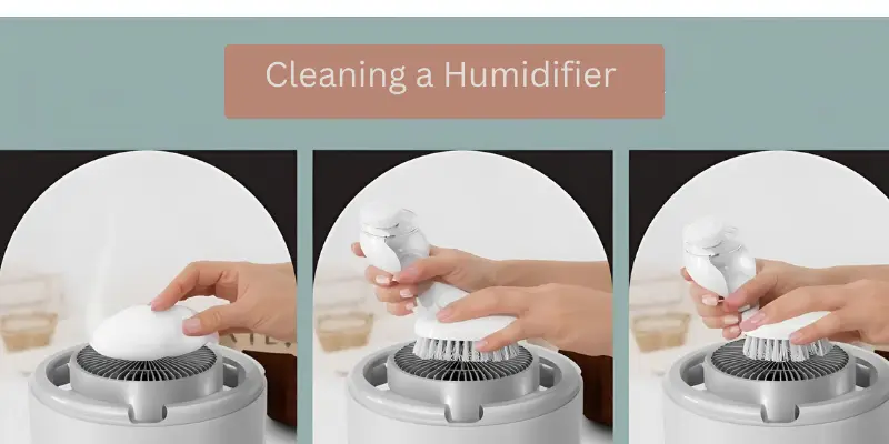 Person cleaning humidifier tank with brush and soap.